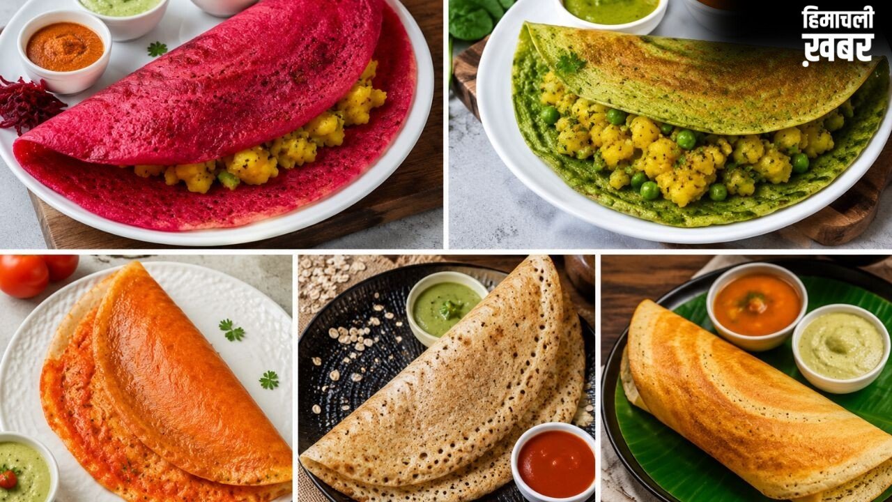 नाश्ते में ट्राई कर सकते हैं ये 5 तरह के डोसा, बच्चों से लेकर बड़ों तक को आएगा पसंद​