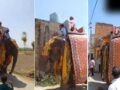 बचपन से देखा सपना, फिर ऐसे किया पूरा… लाखों रुपए खर्च कर राजस्थान से लाया मेरठ; हाथी पर बैठकर बारात लेकर निकला दूल्हा