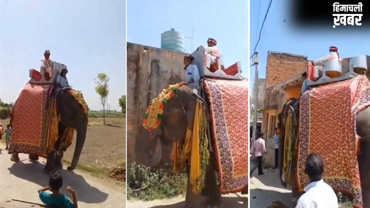 बचपन से देखा सपना, फिर ऐसे किया पूरा… लाखों रुपए खर्च कर राजस्थान से लाया मेरठ; हाथी पर बैठकर बारात लेकर निकला दूल्हा