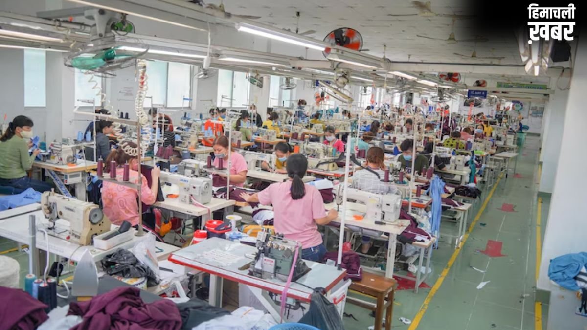 डिजिटलीकरण सुधारों से बढ़ी MSME की उत्पादकता, IMF रिसर्च में सामने आईं अहम बातें
