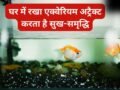 घर में सही दिशा में रखें एक्वेरियम तो खुद चलकर आता है पैसा, गलत जगह बन सकती है नुकसान, जानिए वास्तु नियम​