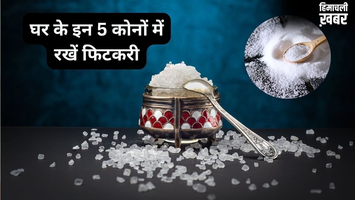 Vastu Totka: पैसा नहीं टिकता? घर के इन कोनों में रख दें ये सफेद चीज, हमेशा भरा रहेगा बैंक बैलेंस!​
