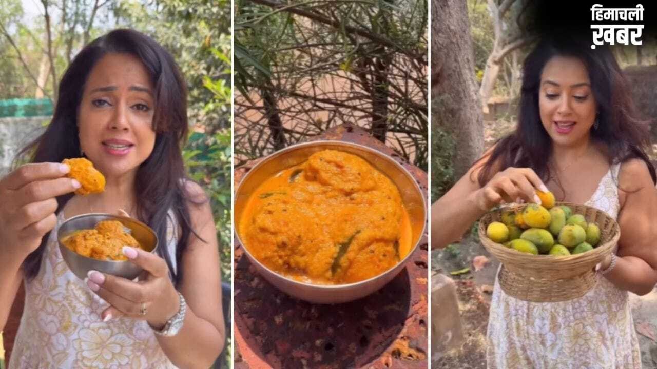 आम और नारियल स्वादिष्ट करी ‘घोटाचे सासव’, समीरा रेड्डी ने शेयर की रेसिपी