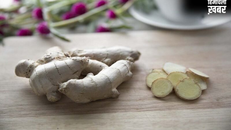 Ginger Storage Tips: अदरक फेंकने की नौबत नहीं आएगी, ये Smart Storage Tips महीनों तक रखेंगे Fresh​