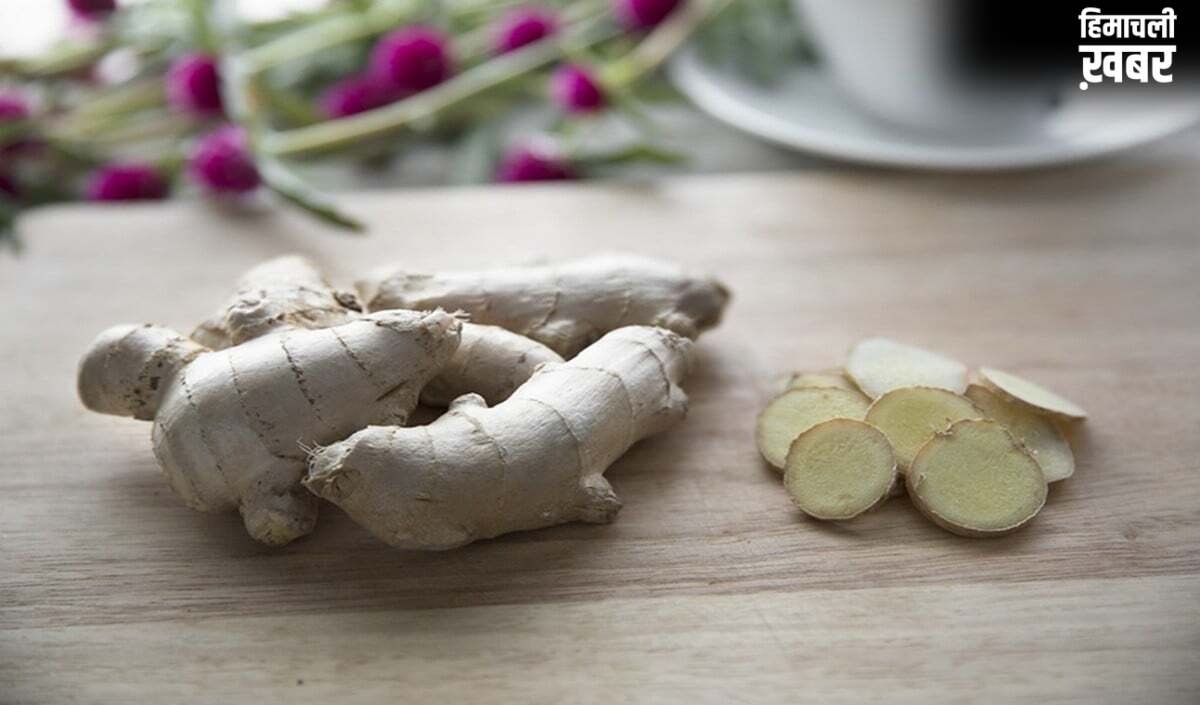 Ginger Storage Tips: अदरक फेंकने की नौबत नहीं आएगी, ये Smart Storage Tips महीनों तक रखेंगे Fresh​