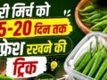 हरी मिर्च को लंबे समय तक फ्रेश रखने के तरीके, सूखने और सड़ने से बचाने के लिए अपनाएं ये ट्रिक्स​