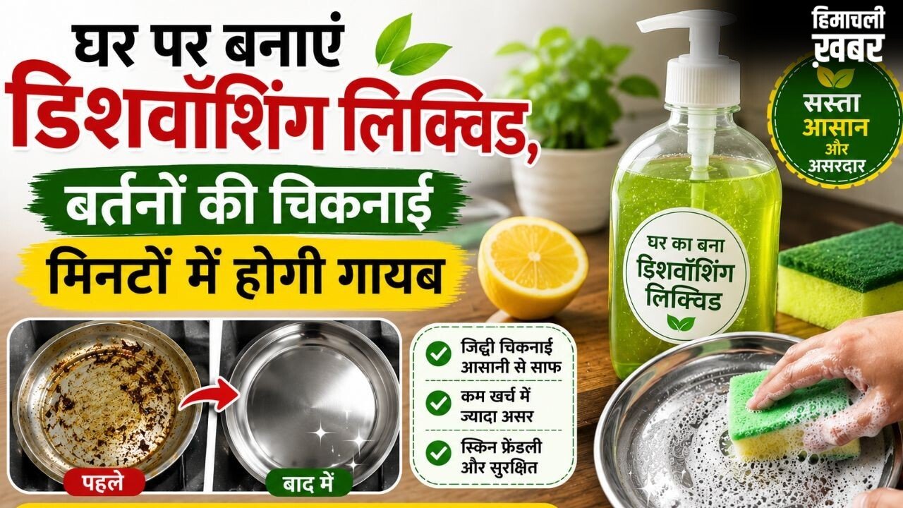 बर्तन धोने का साबुन खत्म हो जाए तो इन चीजों से बनाएं डिशवॉश लिक्विड