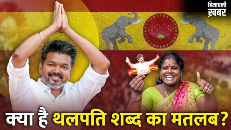 जोसेफ विजय चंद्रशेखर कैसे बने ‘थलपति’? ढहाया DMK का किला, ब्लॉकबस्टर जीत का जश्न शुरू