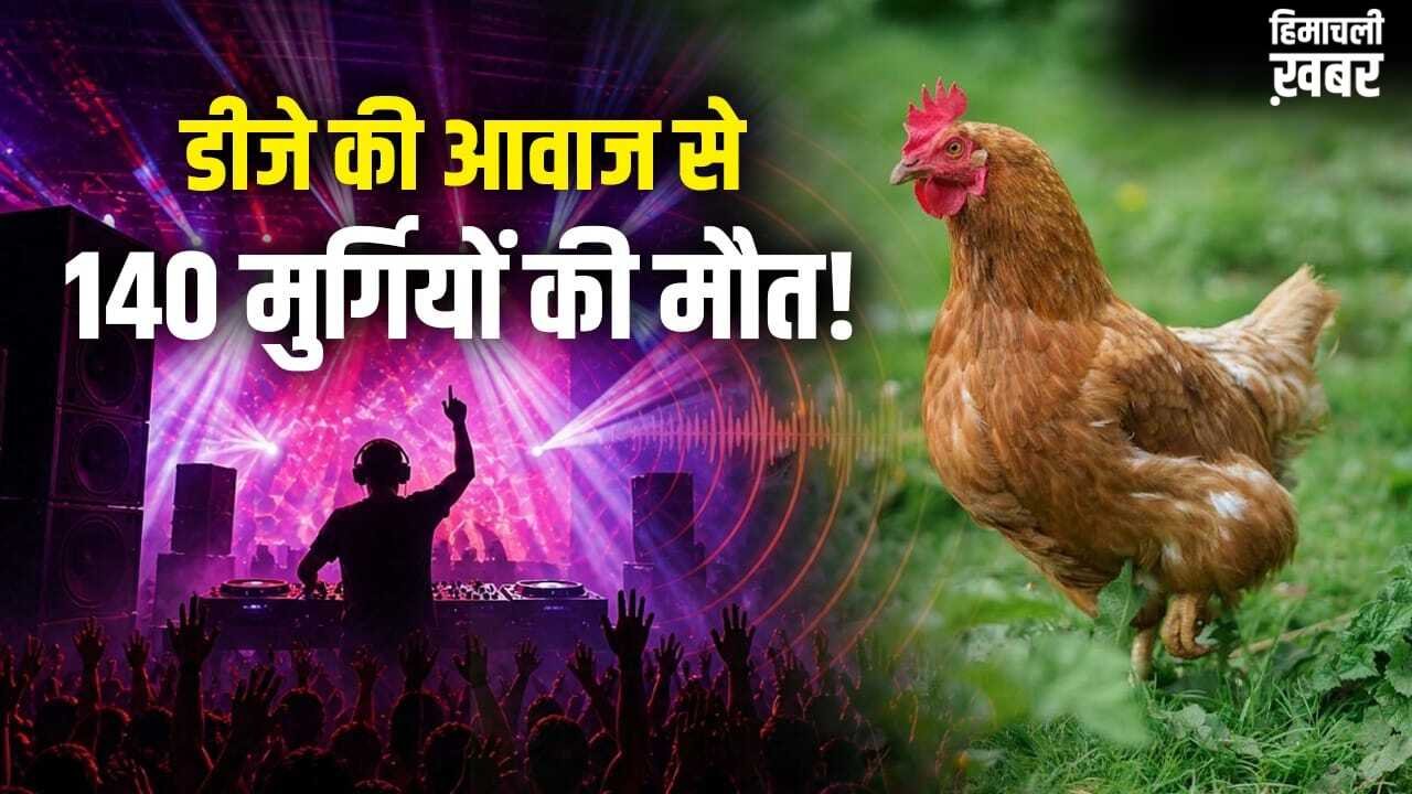 कितनी तेज आवाज इंसान हो या पक्षी, सबके लिए जानलेवा? सुल्तानपुर में 140 मुर्गियों की मौत से उठा सवाल