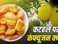 कटहल फल है या सब्जी, क्यों होती है बहस? इसका इतिहास 6 हजार साल पुराना