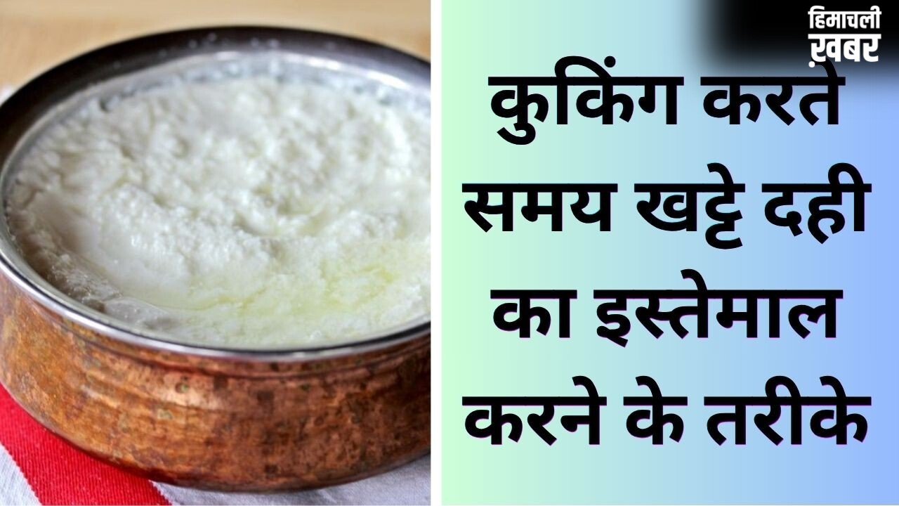 घर में रखा खट्टा दही अब नहीं जाएगा बेकार, फेंकने की बजाय इन 7 तरीकों से करें इस्तेमाल, बनेंगी टेस्टी डिशेज