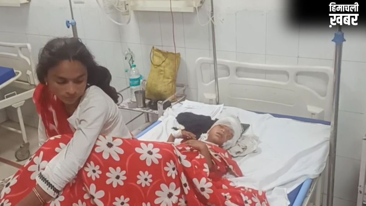 यूपी: 7 साल की बच्ची को जबड़े में दबाकर भाग रहे तेंदुआ से भिड़ गई मां, बहादुरी दिखाते हुए बचाई जान