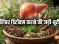 लिवर डिटॉक्स के लिए क्यों बेस्ट है मई का महीना, शरीर से सारा ज़हरीला पदार्थ बाहर निकल जाएगा, करें ये उपाय​