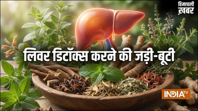 लिवर डिटॉक्स के लिए क्यों बेस्ट है मई का महीना, शरीर से सारा ज़हरीला पदार्थ बाहर निकल जाएगा, करें ये उपाय​