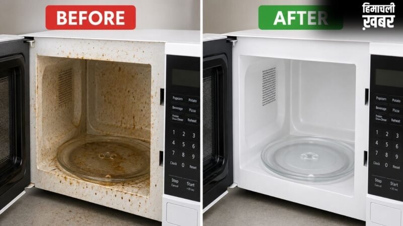 क्लीनर की नहीं पड़ेगी जरूरत, Microwave को साफ करने के लिए अपनाएं यह 1 तरीका, बरतें ये सावधानियां​