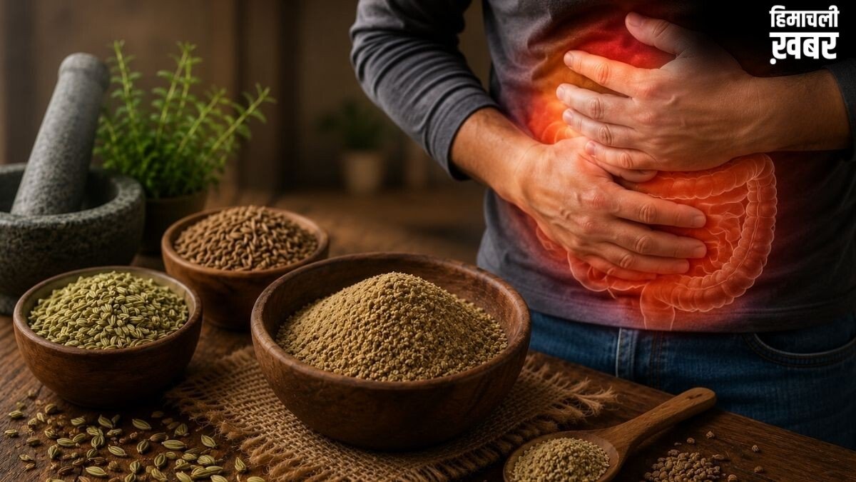 हर दिन डिनर के बाद होती है अपच की समस्या? पाचन दुरुस्त रखने में मदद कर सकता है सौंफ, जीरा और अजवाइन का मिश्रण, एक्सपर्ट से जानिए तरीका​