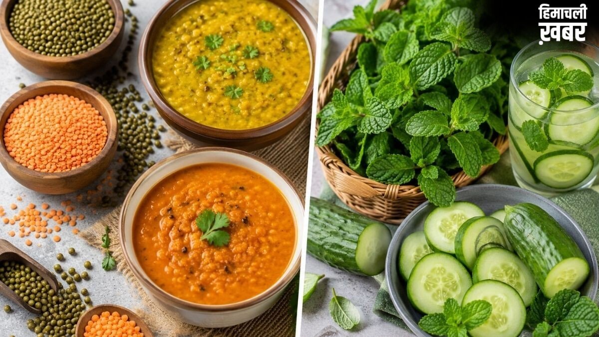 Summer Diet: गर्मी में पेट को ठंडा रखेंगी ये 4 हल्की दालें, गैस और अपच से बचाव के लिए एक्सपर्ट्स ने बताए फायदे​