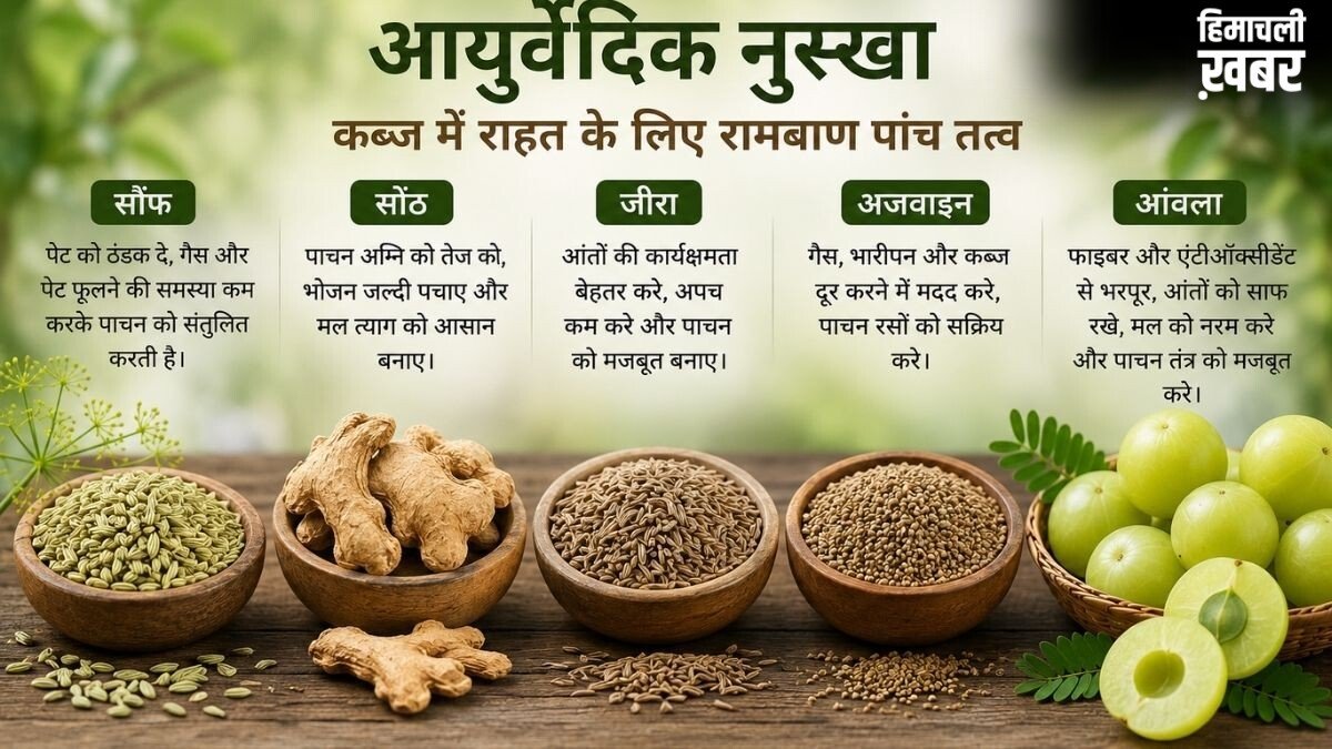 पेट की गंदगी साफ करने का आयुर्वेदिक फॉर्मूला, सौंफ, अजवाइन समेत 5 चीजों का पाउडर खाएं, एक्सपर्ट से जानिए कैसा होगा असर​