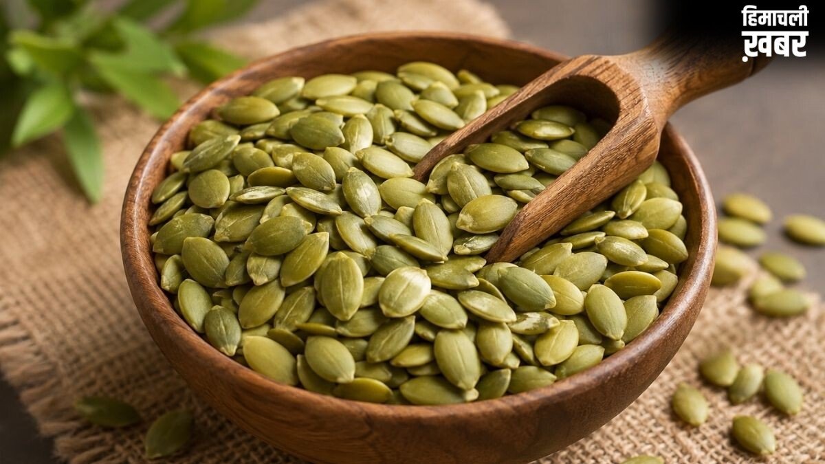Summer Diet: क्या गर्मियों में कद्दू के बीज (Pumpkin Seeds) खाना सुरक्षित है? वैलनेस एक्सपर्ट हंसाजी योगेंद्र से जानिए सही नियम और तरीके​