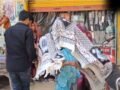 UP: विंध्याचल धाम में मधुमक्खियों का हमला, 25 श्रद्धालु घायल, 5 की हालत गंभीर; पेड़ के नीचे खाना बना रहे थे