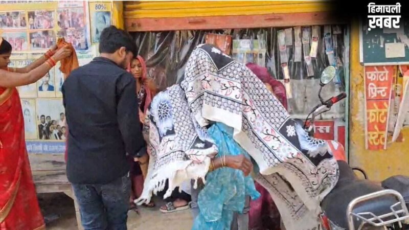 UP: विंध्याचल धाम में मधुमक्खियों का हमला, 25 श्रद्धालु घायल, 5 की हालत गंभीर; पेड़ के नीचे खाना बना रहे थे