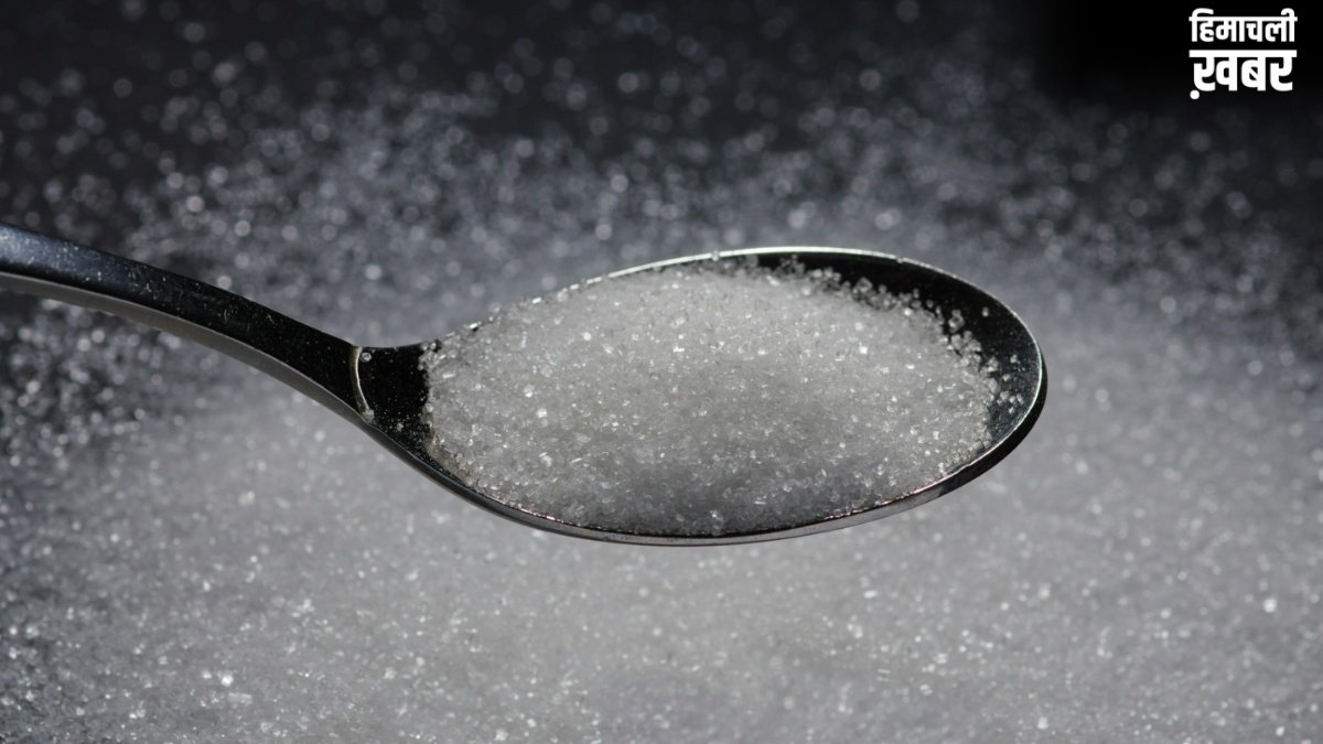 Sugar का हेल्दी विकल्प हैं ये Natural Sweeteners, मिठास के साथ सेहत रहेगी बेहतरीन​