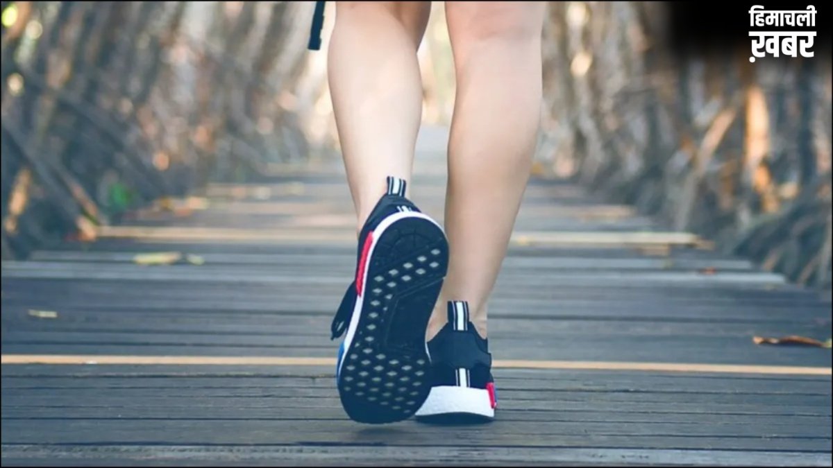 हेल्दी शरीर के लिए वॉक है ज़रूरी लेकिन चिलचिलाती गर्मी में क्या है Walking का सही तरीका, बता रहे हैं एक्सपर्ट
