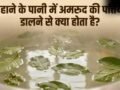 नहाने के पानी में अमरूद की पत्तियां डालने से क्या होता है, जानें फायदे और इस्तेमाल का सही तरीका