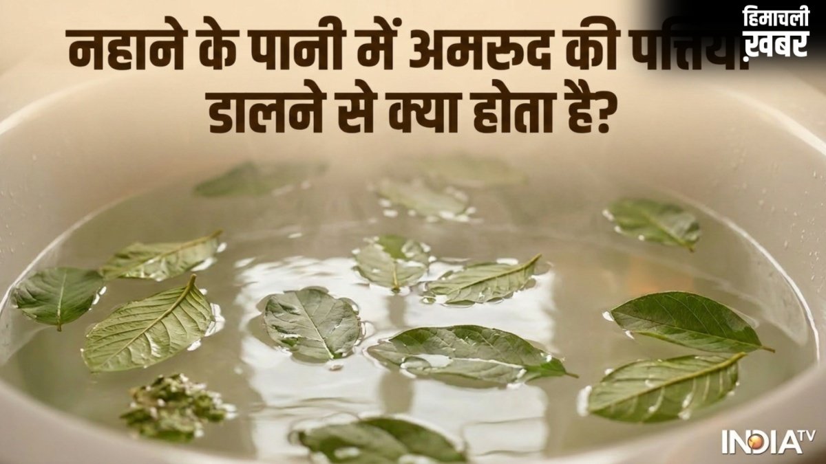 नहाने के पानी में अमरूद की पत्तियां डालने से क्या होता है, जानें फायदे और इस्तेमाल का सही तरीका