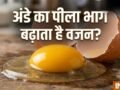 क्या अंडे का पीला भाग खाने से सच में बढ़ता है वजन? जानें क्या कहते हैं एक्सपर्ट?​