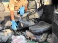 चार बच्चों की हत्या के बाद फरार मां का नाले में मिला शव, उलझ गई अंबेडकरनगर हत्याकांड की गुत्थी