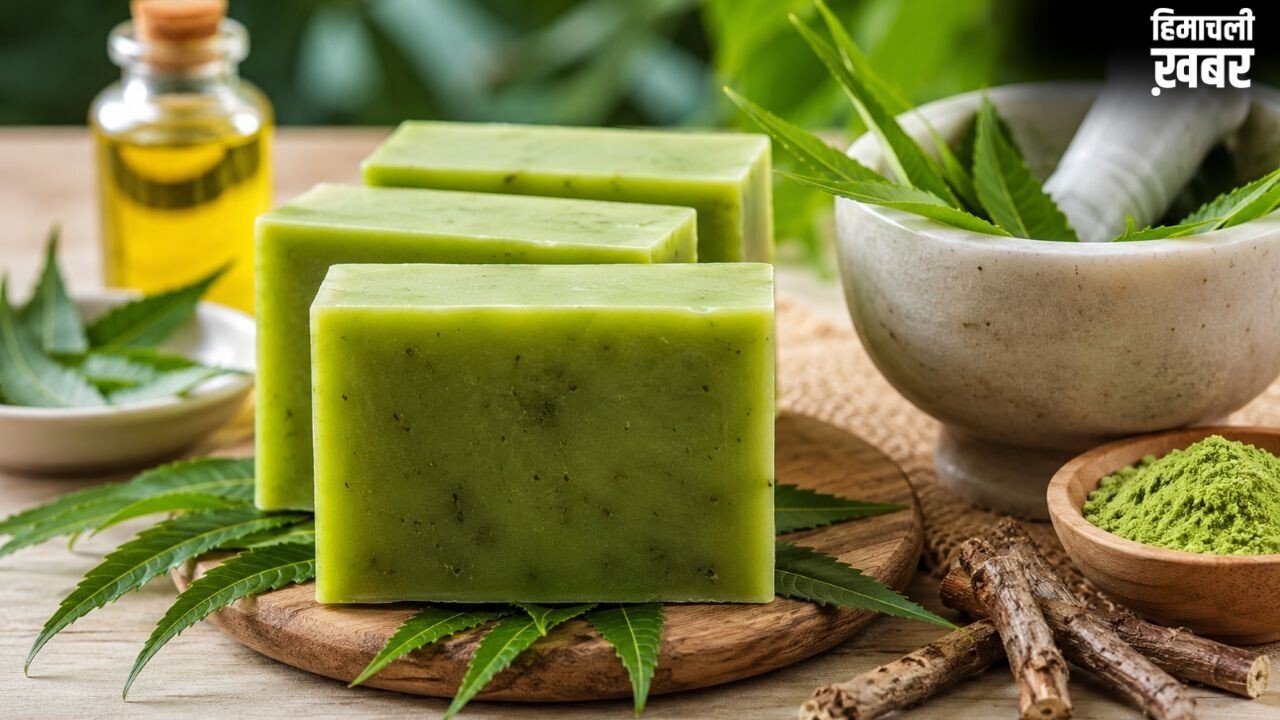 घर पर ऐसे बनाएं नीम का साबुन, स्किन से लेकर सफाई तक कई कामों में आएगा काम​