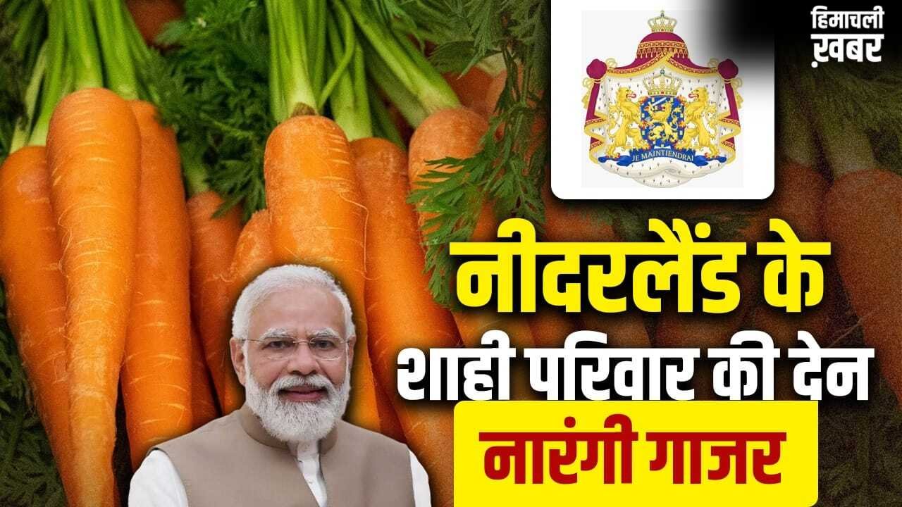 Netherlands: नारंगी गाजर कैसे नीदरलैंड के शाही परिवार के सम्मान का प्रतीक बनी? जहां पहुंचे PM मोदी​