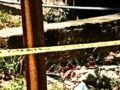 ‘जो कार से गया, उसकी लाश नाले में…’ मुरादाबाद के अमन की मौत बनी पहली, इकलौते बेटे की लाश देख सदमे में घरवाले​