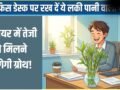 Pani Wala Paudha: ऑफिस डेस्क पर रख दें ये लकी पानी वाला पौधा, करियर में तेजी से होगी ग्रोथ!​