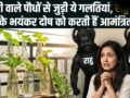 Water Plants Vastu: घर में लगा रखे हैं पानी वाले पौधे तो कभी न करें ये 5 गलतियां, नहीं तो राहु-केतु कर देंगे बर्बाद​
