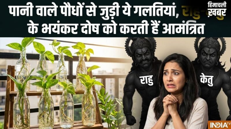 Water Plants Vastu: घर में लगा रखे हैं पानी वाले पौधे तो कभी न करें ये 5 गलतियां, नहीं तो राहु-केतु कर देंगे बर्बाद​