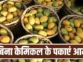 घर पर बिना केमिकल के पका सकते हैं आम, बस आजमाएं ये पुराने तरीके