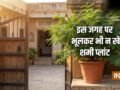 Shami Plant Vastu: घर पर यहां गलती से भी न लगाएं शमी का पौधा, पैसा आने की बजाय छा सकती है कंगाली!​