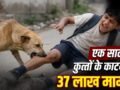 Stray Dogs Case Verdict: न UP, न गुजरात, किस राज्य में कुत्तों के काटने के सबसे ज्यादा मामले? SC ने सुनाया फैसला