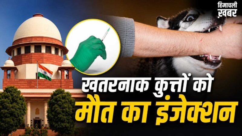 आवारा कुत्तों के मामलों की सुनवाई में आर्टिकल-21 का जिक्र क्यों? पूरे मामले में कब-क्या हुआ, यहां समझें​