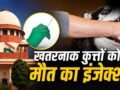 सुप्रीम कोर्ट: आवारा कुत्तों के मामलों की सुनवाई में आर्टिकल-21 का जिक्र क्यों? पूरे मामले में कब-क्या हुआ, यहां समझें​