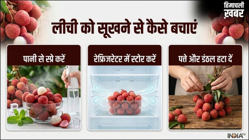 लीची को बिना फ्रिज के घर में सूखने से कैसे बचाएं और बाहर रखी लीची कितने दिन चल सकती हैं?​