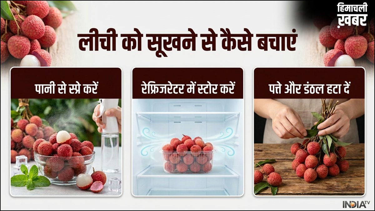 लीची को बिना फ्रिज के घर में सूखने से कैसे बचाएं और बाहर रखी लीची कितने दिन चल सकती हैं?​