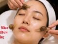 Snail Massage: क्या वाकई कोरियन ब्यूटी ट्रेंड से बढ़ते हैं ‘हैप्पी हॉर्मोन’? स्किन टिश्यू रिपेयर और तनाव पर क्या होता है असर, जानिए​