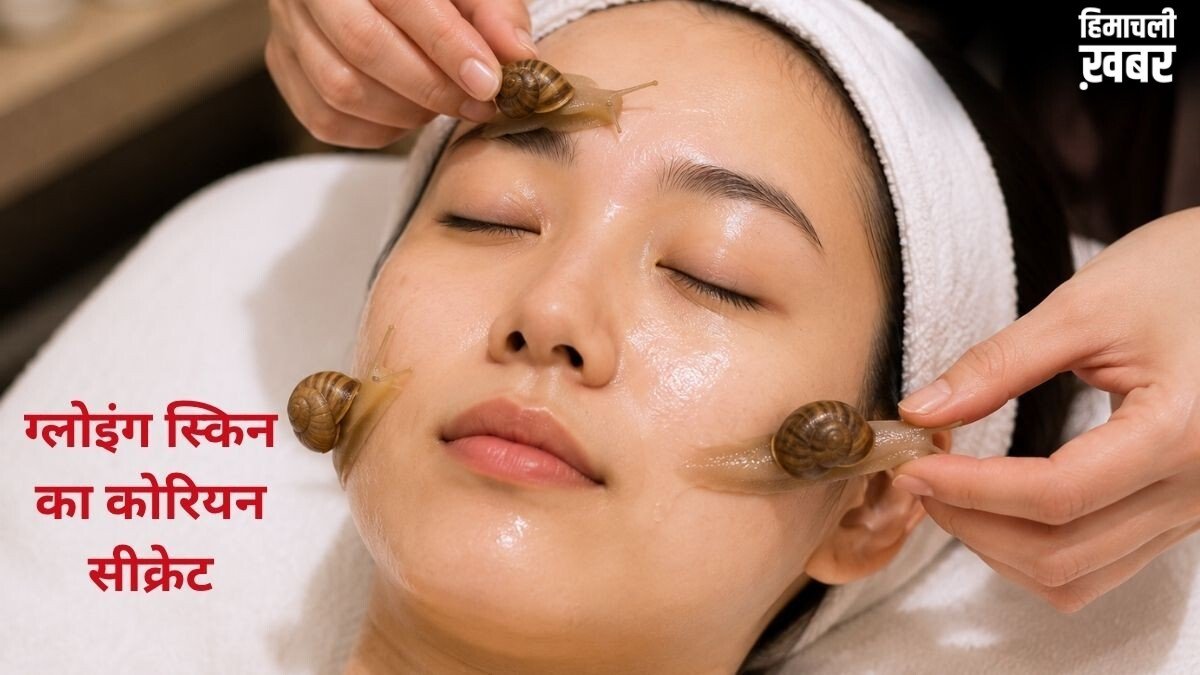 Snail Massage: क्या वाकई कोरियन ब्यूटी ट्रेंड से बढ़ते हैं ‘हैप्पी हॉर्मोन’? स्किन टिश्यू रिपेयर और तनाव पर क्या होता है असर, जानिए​