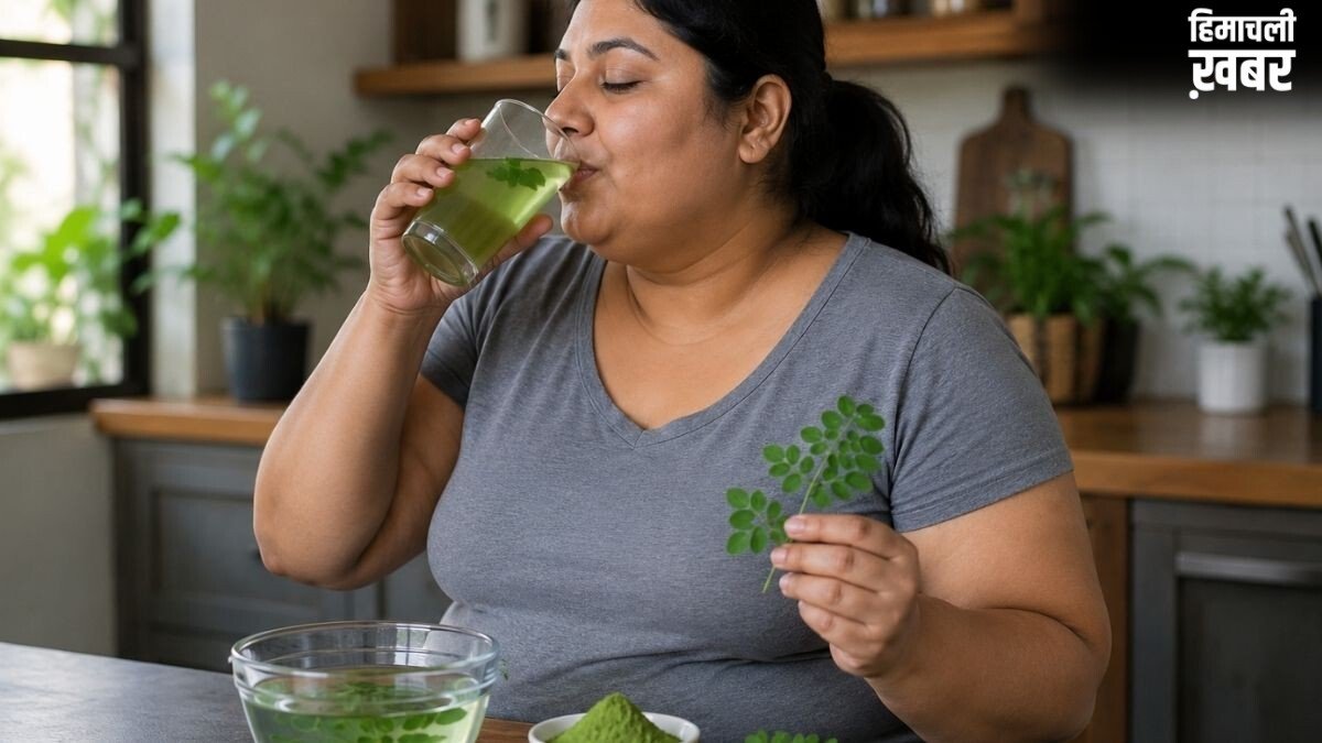 सुपरफूड मोरिंगा की पत्तियां शरीर को करती हैं डिटॉक्स; वजन घटाने में कैसे हैं मददगार? एक्सपर्ट से जानिए सही तरीका​