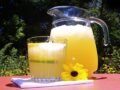 Summer Drinks: लू और तपती गर्मी से बचना है तो पिएं ये 5 देसी Drinks, मिलेगा इंस्टेंट Cooling Effect​