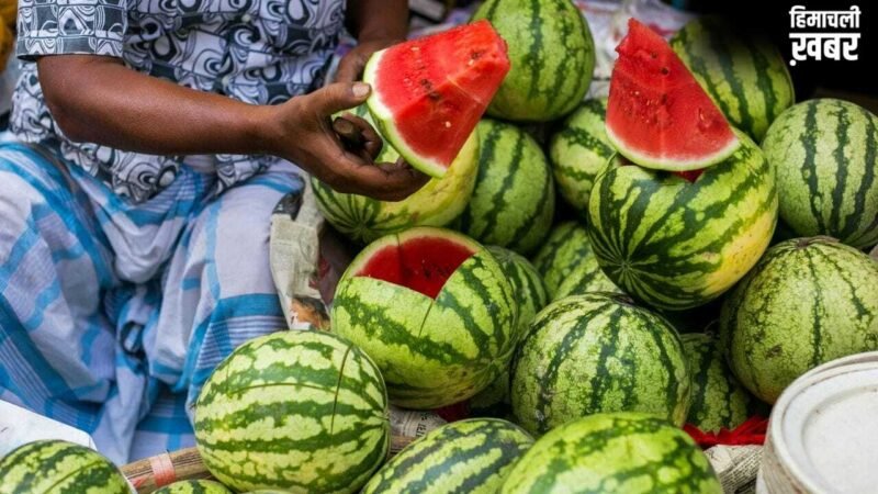Watermelon Capital of India: ये है वाटरमेलन कैपिटल ऑफ इंडिया, यहां इस तरह पहुंचे, जानें हर डिटेल