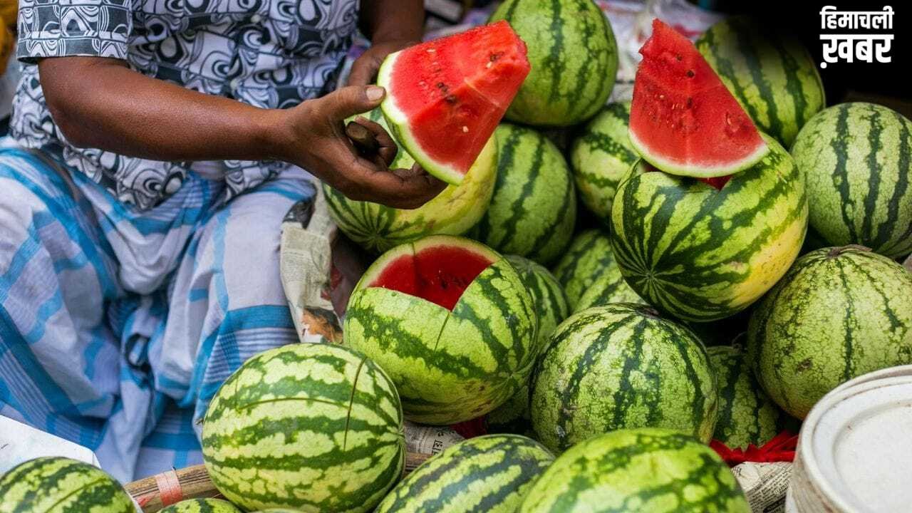 Watermelon Capital of India: ये है वाटरमेलन कैपिटल ऑफ इंडिया, यहां इस तरह पहुंचे, जानें हर डिटेल